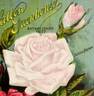 Bessie Brown rose photo