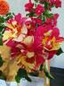 Edgar Degas ® rose photo