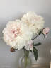 Eugénie Verdier peony photo