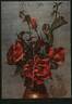 Reine Olga de Würtemberg rose photo