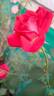 Tipu's Flame™ rose photo