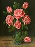 Heinrich Münch rose photo