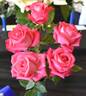 Unconventional Lady rose photo