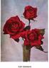 Lord Charlemont rose photo