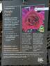 Purple Aura rose photo