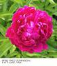 Wilford Johnson peony photo