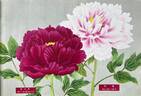 Hanadaijin peony photo