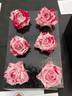 Strawberry Kisses rose photo