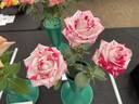 Strawberry Kisses rose photo