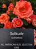 Solitude ™ rose photo
