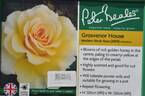 Grosvenor House rose photo