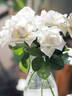 Anggun rose photo