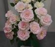 Figurine ™ rose photo