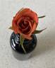 Teddy Bear ™ rose photo
